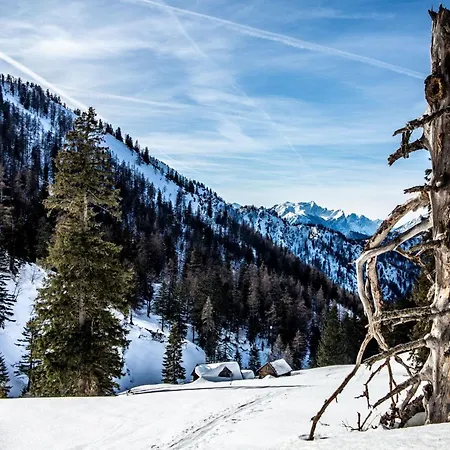 Naturparkresort Xeisblick Apartman