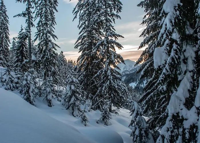 Naturparkresort Xeisblick