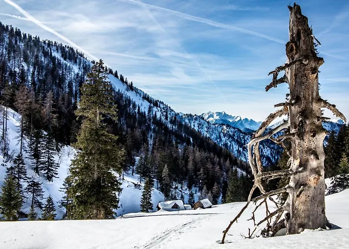 Naturparkresort Xeisblick アパート